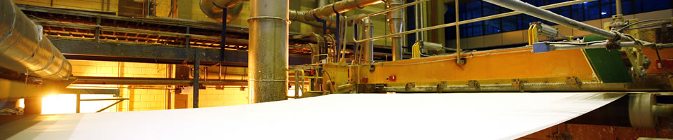 Geo Strategy Partners understands the dynamics of the pulp and paper  industry and serves clients in this sector with customized research and analysis, strategy consulting, and M&A support. 